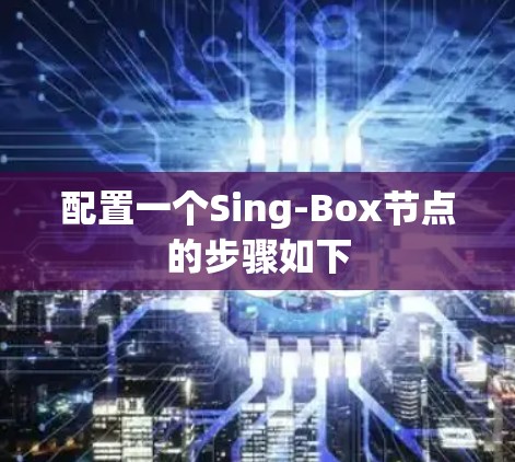 配置一个Sing-Box节点的步骤如下