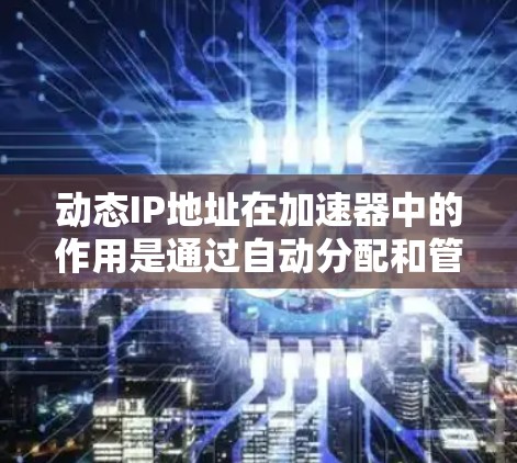 动态IP地址在加速器中的作用是通过自动分配和管理IP地址，提升网络的灵活性和性能。这对于动态调整资源分配、应对网络变化以及优化资源利用具有重要意义。以下是详细的总结