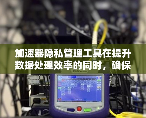 加速器隐私管理工具在提升数据处理效率的同时，确保了数据隐私的保护。以下是对这一工具的详细分析和总结