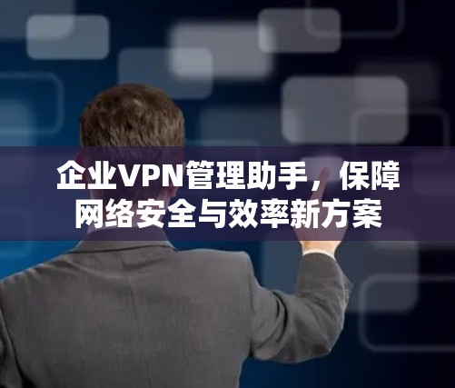 企业VPN管理助手，保障网络安全与效率新方案
