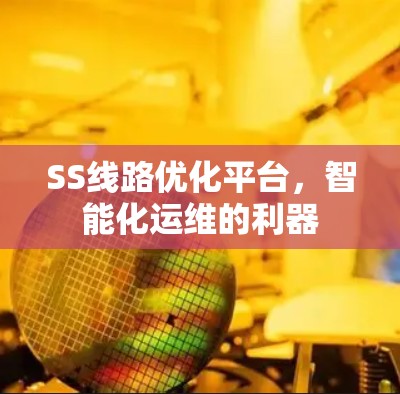 SS线路优化平台，智能化运维的利器