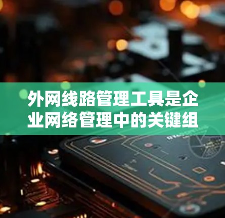外网线路管理工具是企业网络管理中的关键组成部分，用于监控、管理和优化连接到互联网的线路，确保网络的稳定性、安全性和高效性。以下是对外网线路管理工具的详细分析和总结