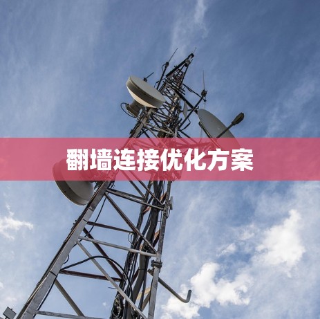 翻墙连接优化方案