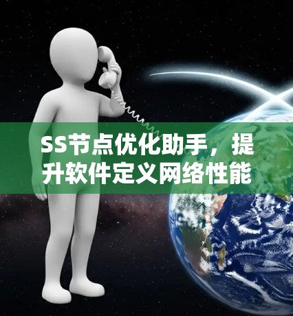 SS节点优化助手，提升软件定义网络性能的关键工具