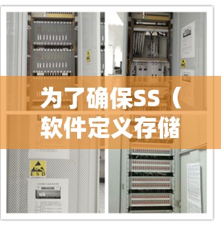为了确保SS（软件定义存储）系统的稳定性，以下是系统化的稳定检测方法