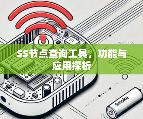 SS节点查询工具，功能与应用探析