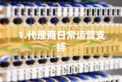 1.代理商日常运营支持