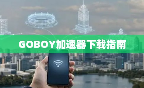 GOBOY加速器下载指南