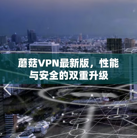 蘑菇VPN最新版，性能与安全的双重升级