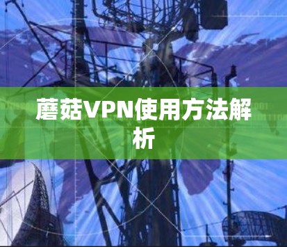 蘑菇VPN使用方法解析