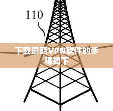 下载蘑菇VPN软件的步骤如下