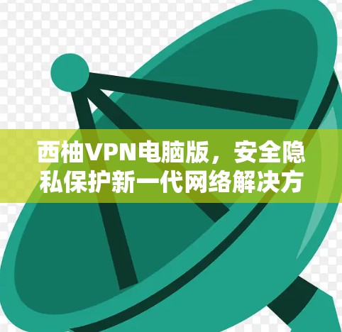 西柚VPN电脑版，安全隐私保护新一代网络解决方案