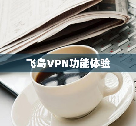飞鸟VPN功能体验