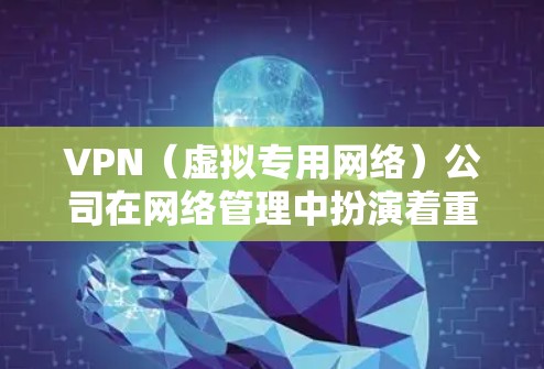 VPN（虚拟专用网络）公司在网络管理中扮演着重要角色，主要用于提供安全、可靠的网络连接，保护敏感数据，并为用户提供匿名访问服务。以下是VPN公司在网络管理中的主要内容和注意事项